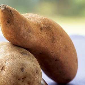 [0411p30c-sweet_potato-m[4].jpg]