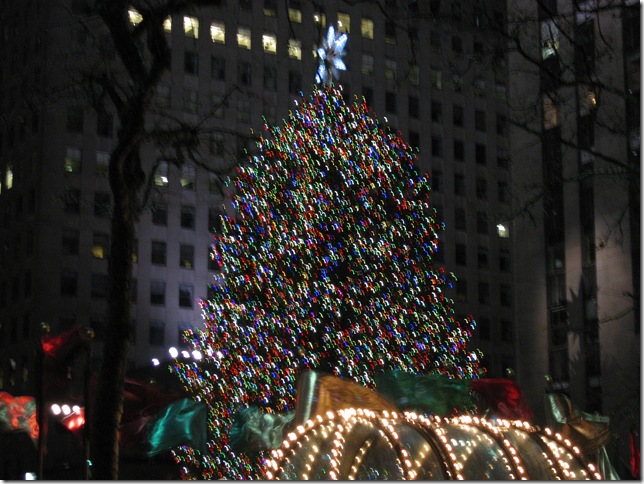 NYC Dec 2008 069