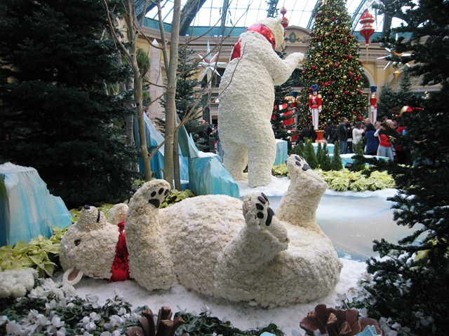 [Christmas 2009 088[4].jpg]