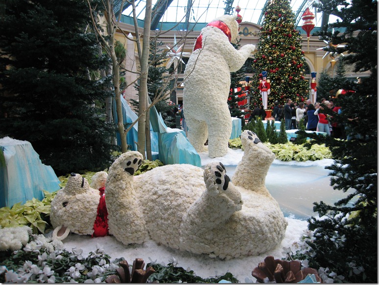 Christmas 2009 088