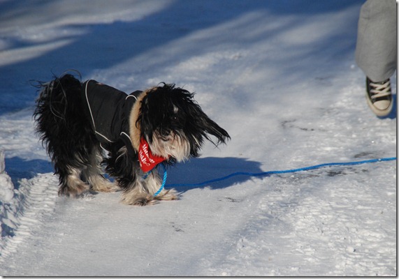 DSC_2750 DSC_2750