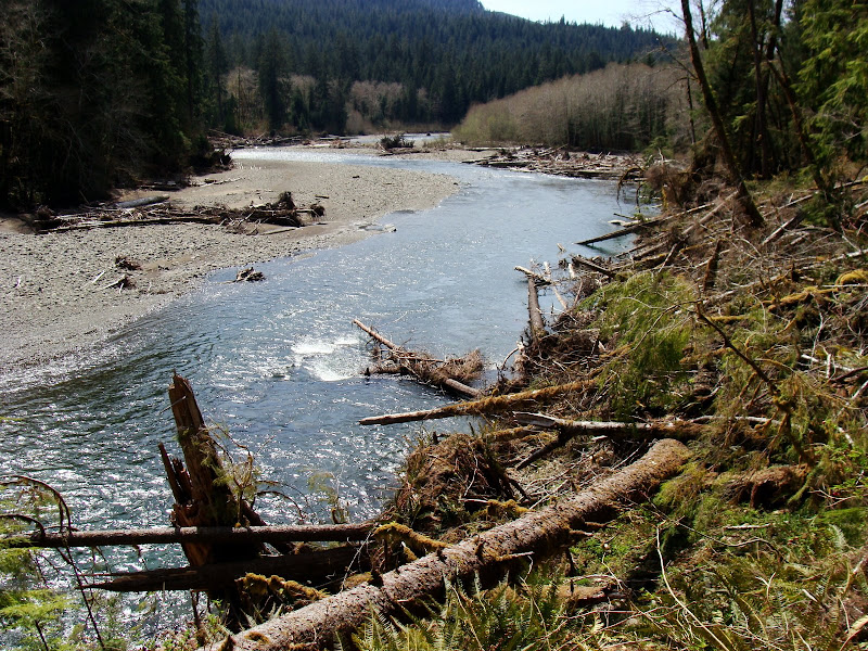 Bogachiel River