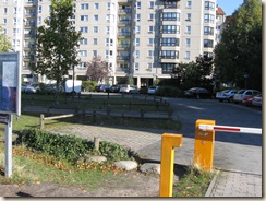 IMG_1260 IMG_1260