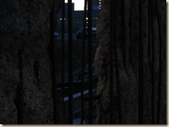 IMG_1307 IMG_1307