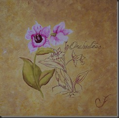 Orchidées 02