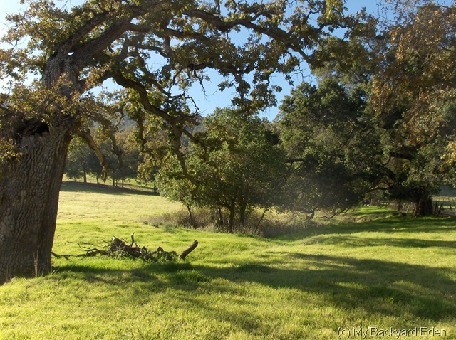 [thanksgiving hike 075[4].jpg]