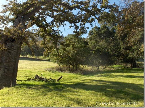 Augustin Bernal Park