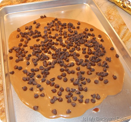 toffee 012