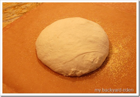 loaf rising before baking loaf rising before baking