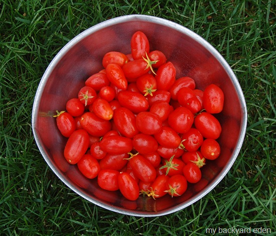 San Marzano Tomatoes