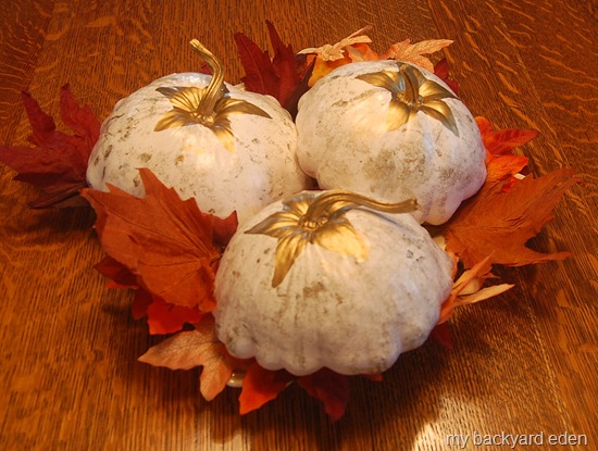 Fall Garden Centerpiece