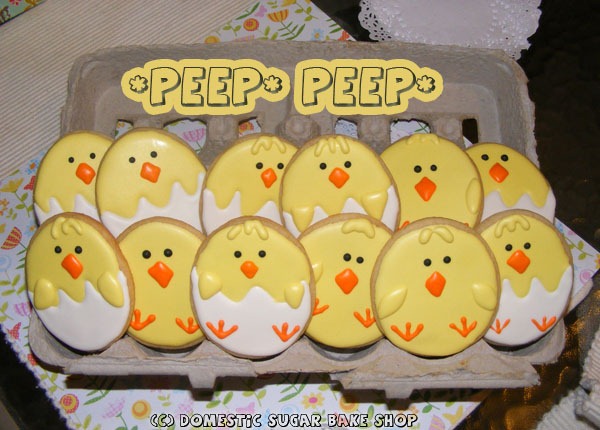 [chicks0313.jpg]