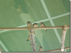 PA270996 PA270996