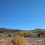 Lots of aspen groves in the area were changing color.