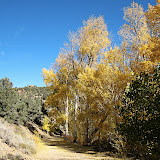 Road into Masonic, CA.