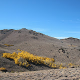 The area is starting to feel more remote.