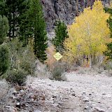 The road into Nevada got pretty rough and it was obvious that it hadn't been maintained for quite some time.