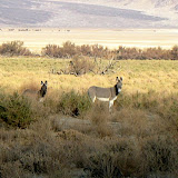 IMG_2493.JPG