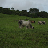 Panama 091.JPG