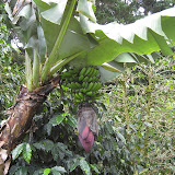 Panama 115.JPG