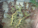IMG_0584.JPG