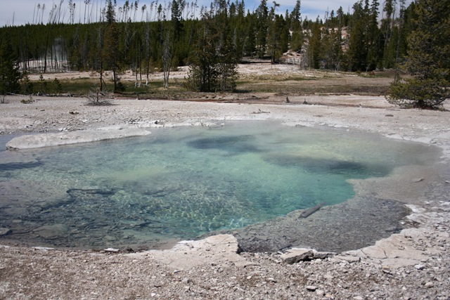 [yellowstone 057[5].jpg]
