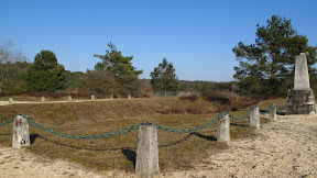 IMG_6035.JPG