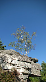 IMG_4394.JPG
