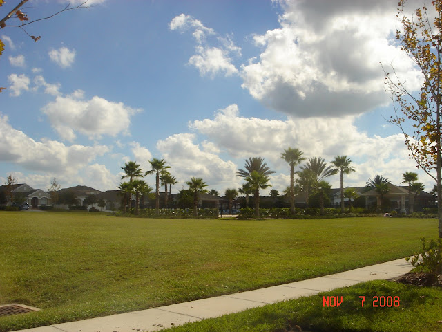 Palm Cove in Wesley Chapel Florida