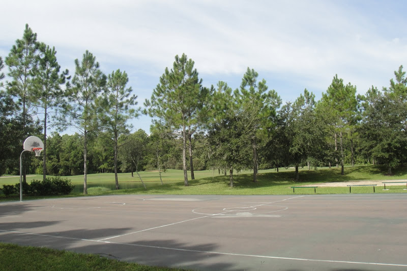Lexington Oaks homes