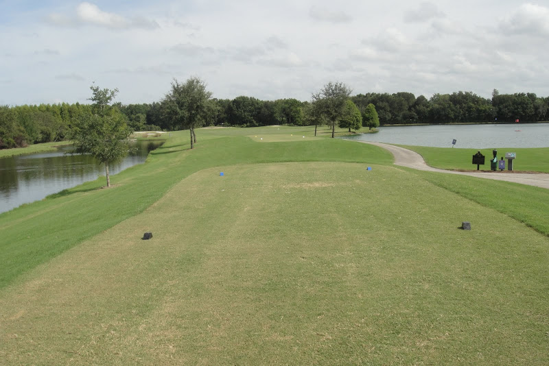 Lexington Oaks homes