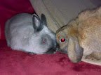 02122008436.jpg