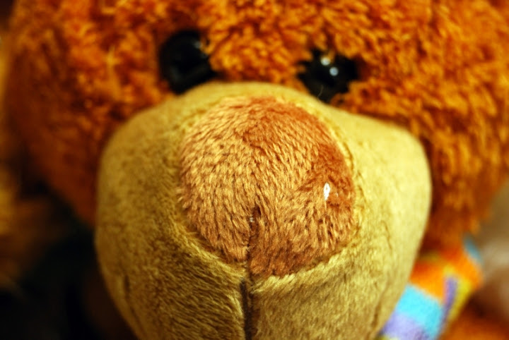 trip0030.jpg