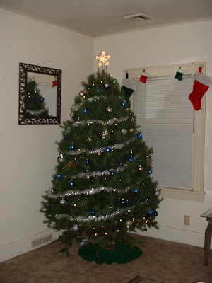 Real tree in all its glory!