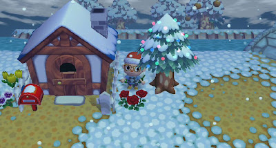 Me and my house decked out for Christmas.