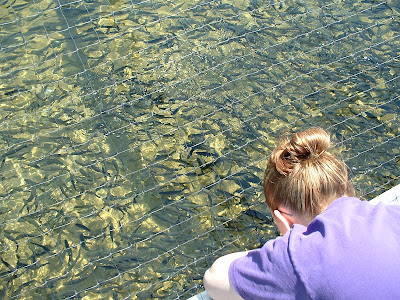 Trying to decide the best way to torture these fish.