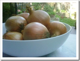01 - A bowl of onions
