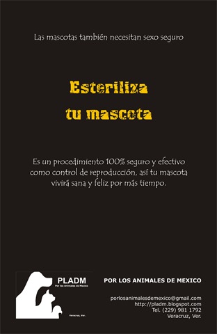 [poster6[4].jpg]