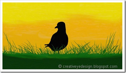 bird bird