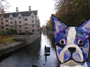 Bosty in Cambridge by collage artist Megan Coyle