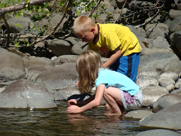 Trying to catch a fish