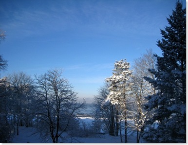 home 004