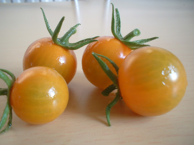 DSCF0004.JPG