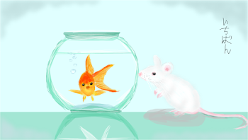 Goldfish and Mouse