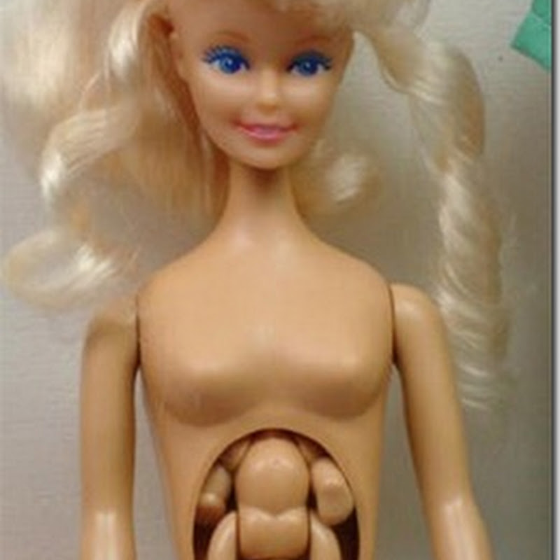 Muñeca De Barbie Embarazada Clearance Prices, Save 69% | to.senac.br:83