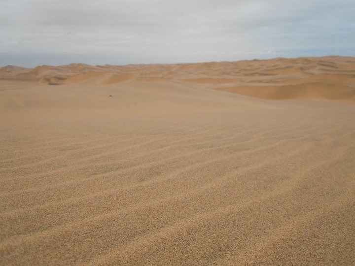 [163648_10150127932639384_528379383_7832272_3109986_n[2].jpg]
