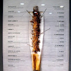 anti-smoking-2342