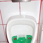 unusual_and_funny_toilets_26