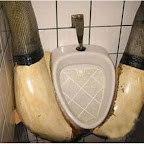 unusual_and_funny_toilets_40