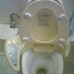 unusual_and_funny_toilets_99
